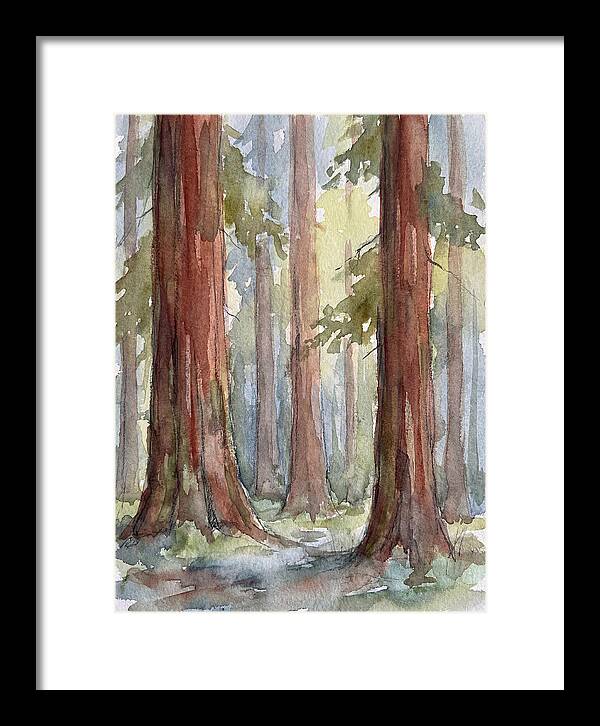 Enchanted Redwood Grove