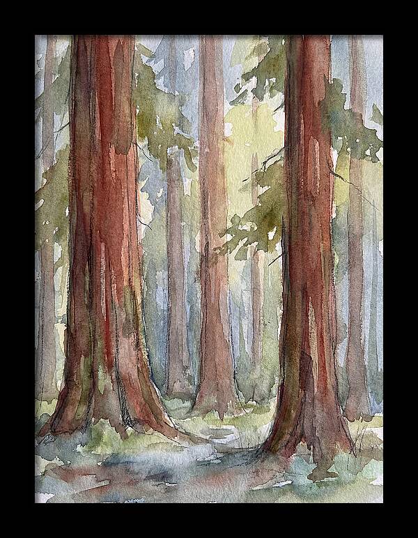 Enchanted Redwood Grove
