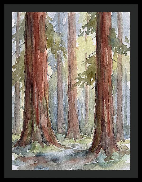 Enchanted Redwood Grove