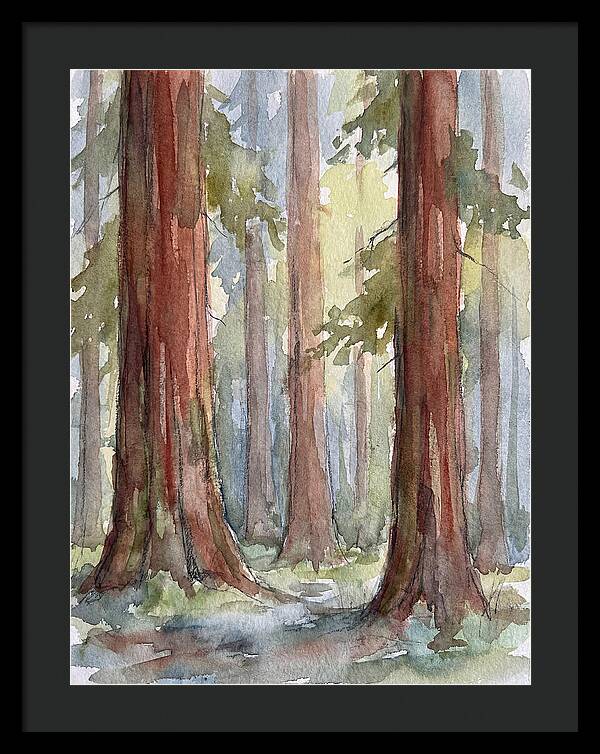 Enchanted Redwood Grove
