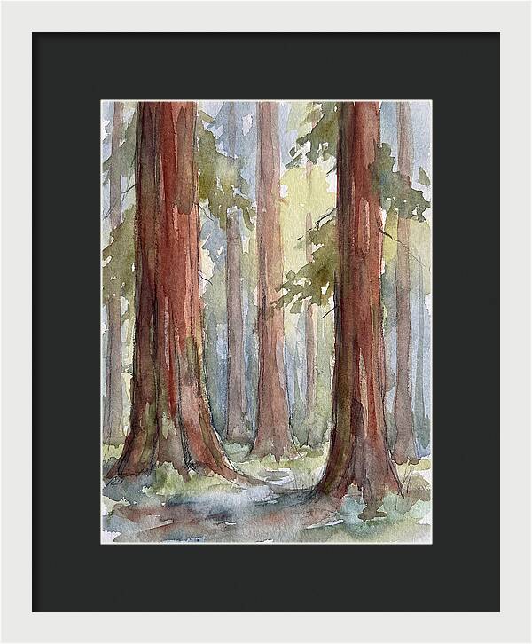 Enchanted Redwood Grove