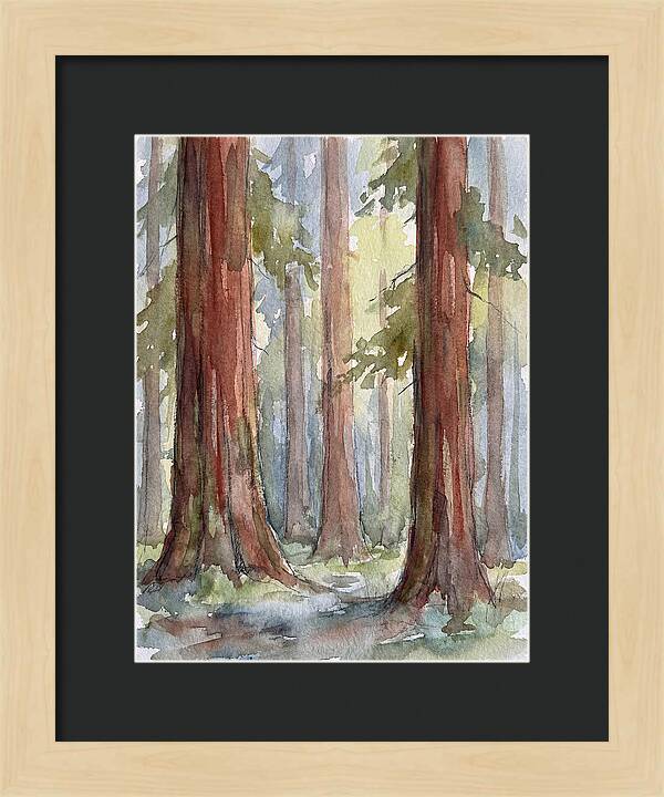 Enchanted Redwood Grove