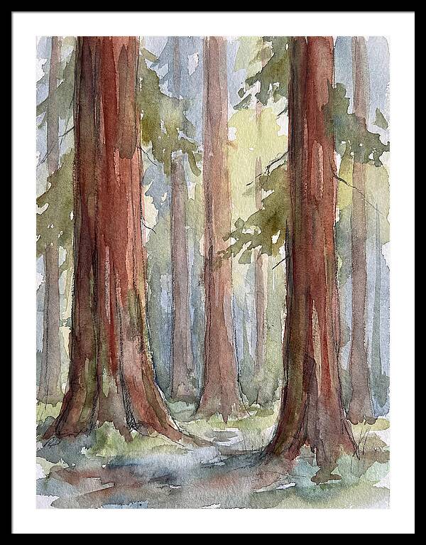 Enchanted Redwood Grove