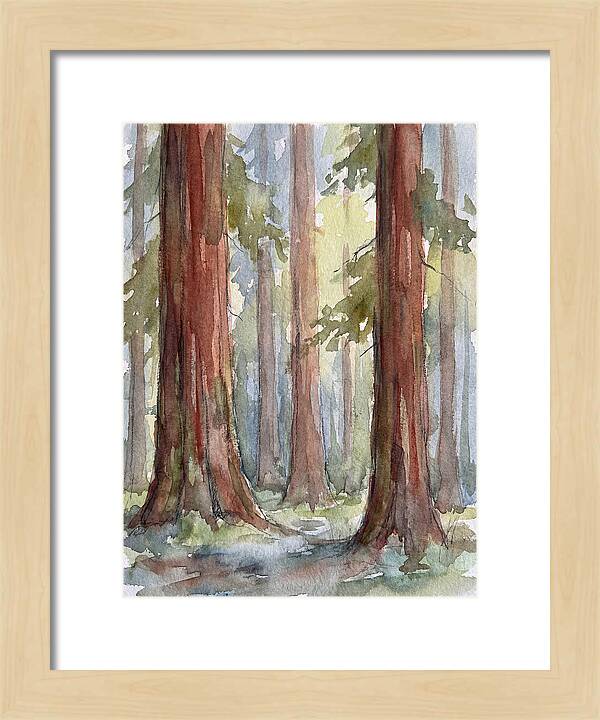 Enchanted Redwood Grove