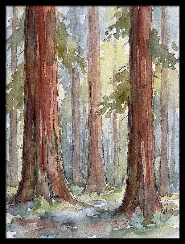 Enchanted Redwood Grove