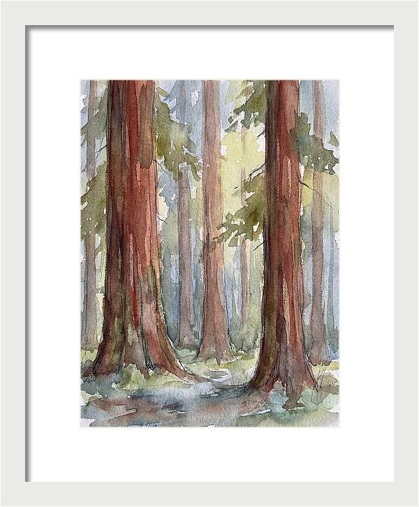 Enchanted Redwood Grove