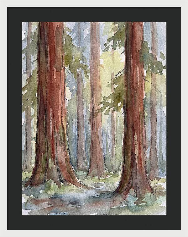 Enchanted Redwood Grove