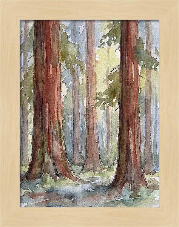 Enchanted Redwood Grove