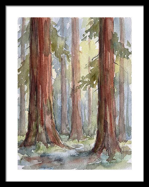 Enchanted Redwood Grove