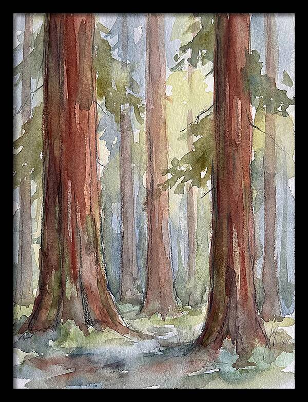 Enchanted Redwood Grove