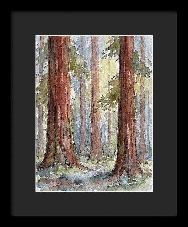 Enchanted Redwood Grove