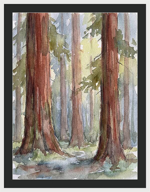 Enchanted Redwood Grove