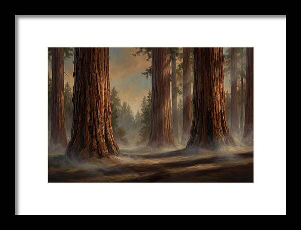 Enchanted Redwood Grove