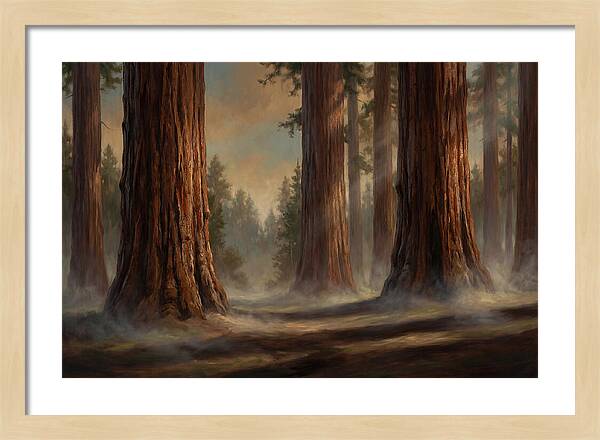 Enchanted Redwood Grove