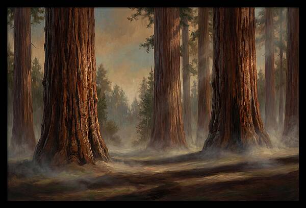 Enchanted Redwood Grove