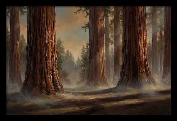 Enchanted Redwood Grove