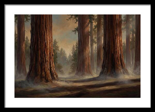 Enchanted Redwood Grove