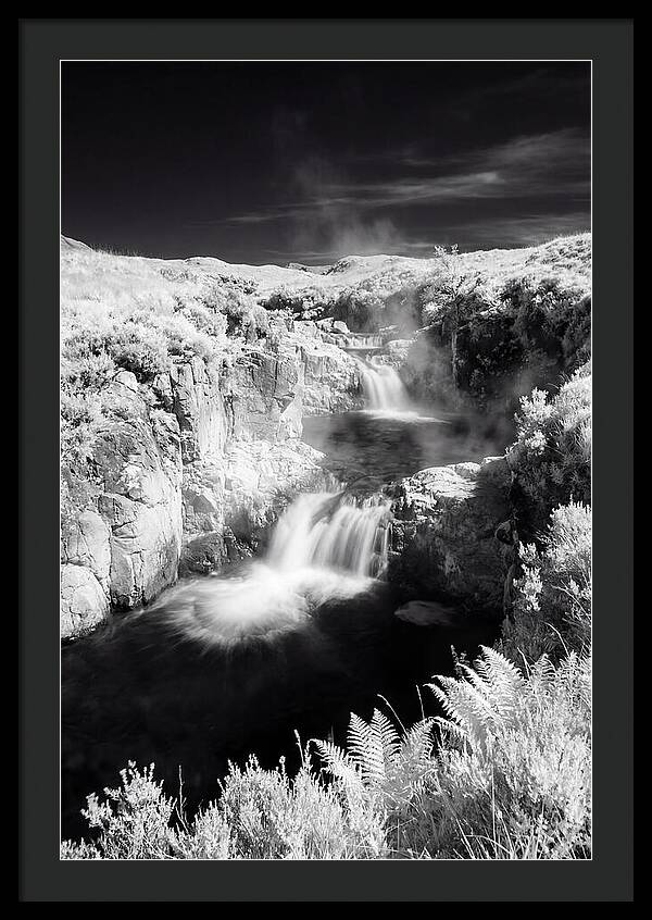 Enchanted Waterscape