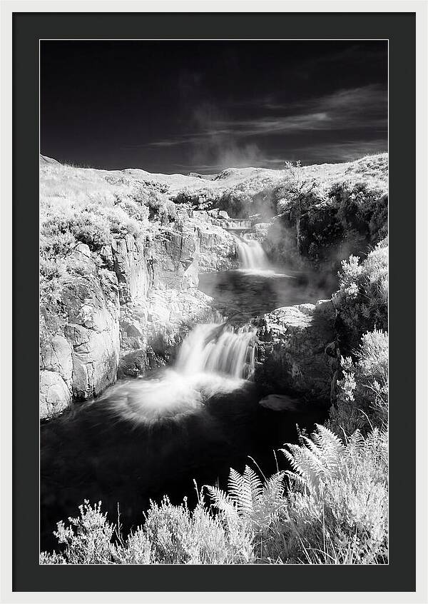 Enchanted Waterscape