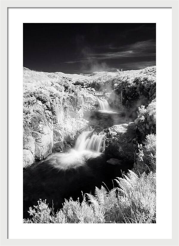 Enchanted Waterscape