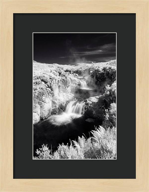 Enchanted Waterscape