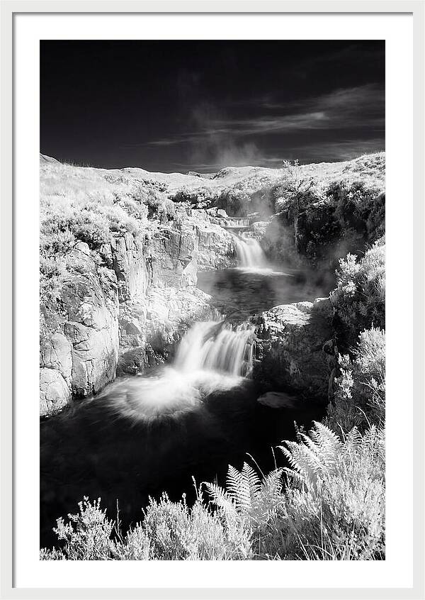 Enchanted Waterscape