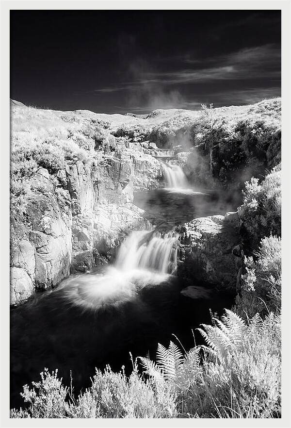 Enchanted Waterscape