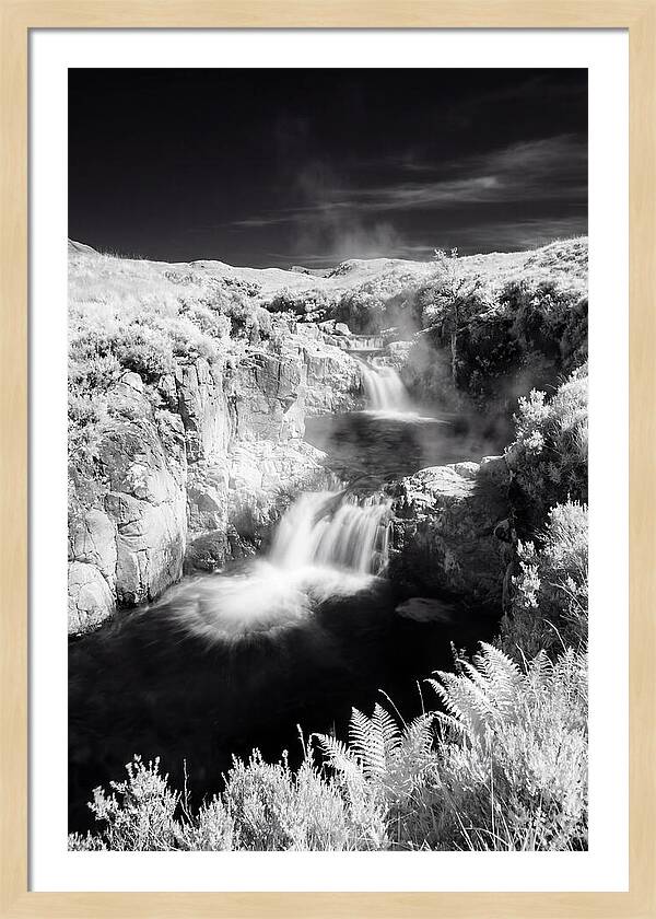 Enchanted Waterscape