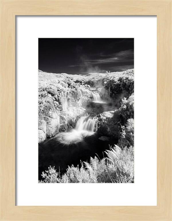 Enchanted Waterscape