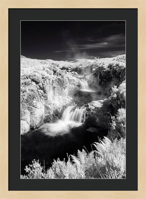 Enchanted Waterscape