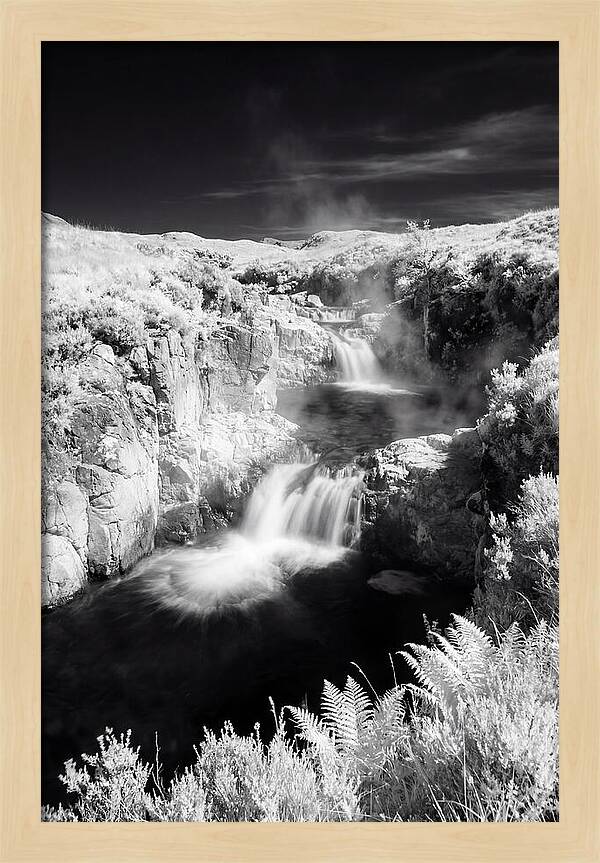 Enchanted Waterscape