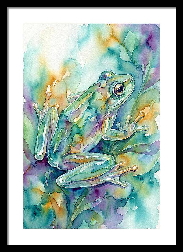 Enchanting Glass Frog Camouflage