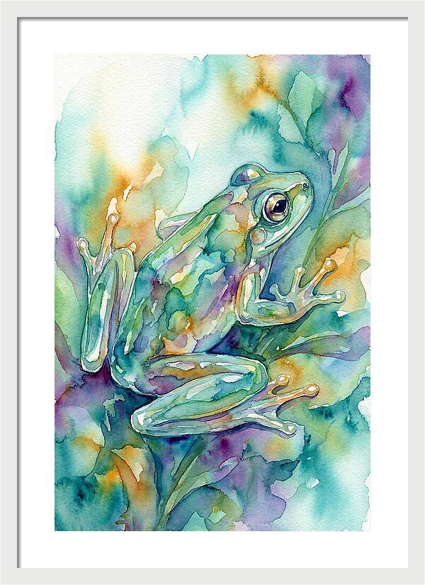 Enchanting Glass Frog Camouflage