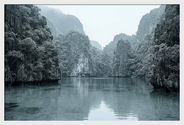 Enclosed Tropical Serenity