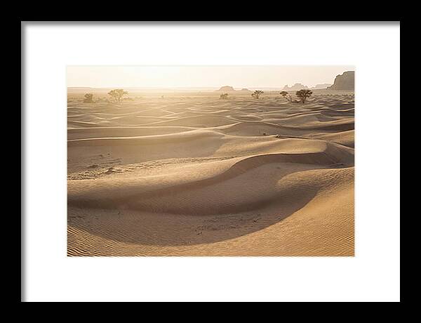 Endless Dunes Of White Sands
