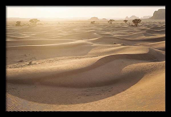 Endless Dunes Of White Sands