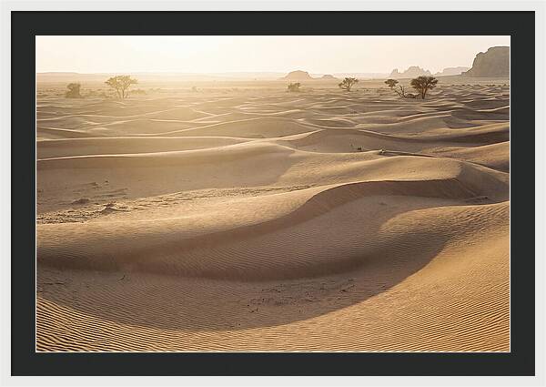 Endless Dunes Of White Sands