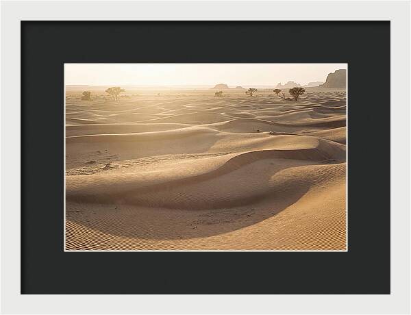 Endless Dunes Of White Sands