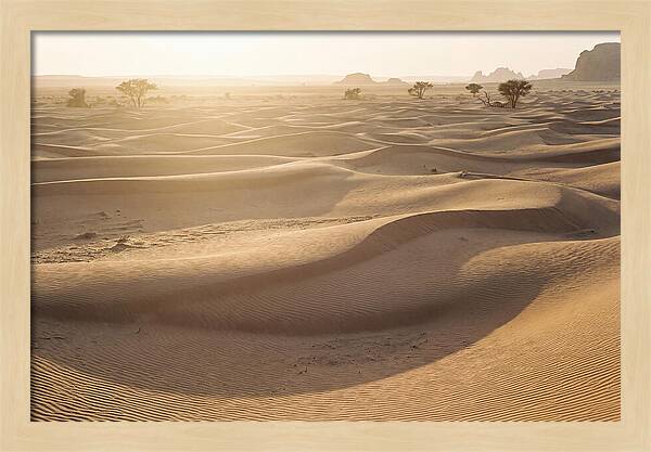 Endless Dunes Of White Sands