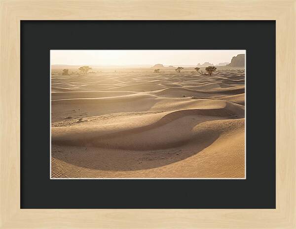 Endless Dunes Of White Sands