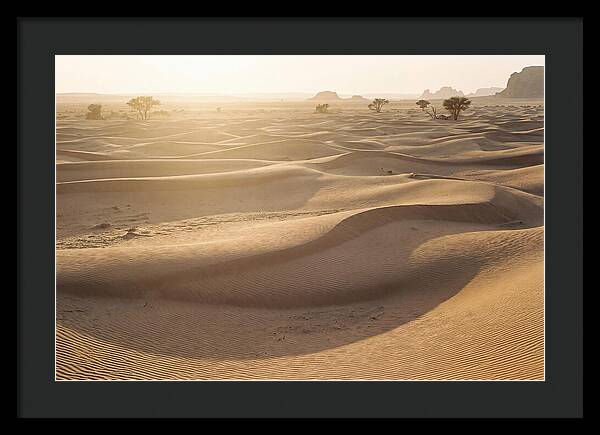 Endless Dunes Of White Sands