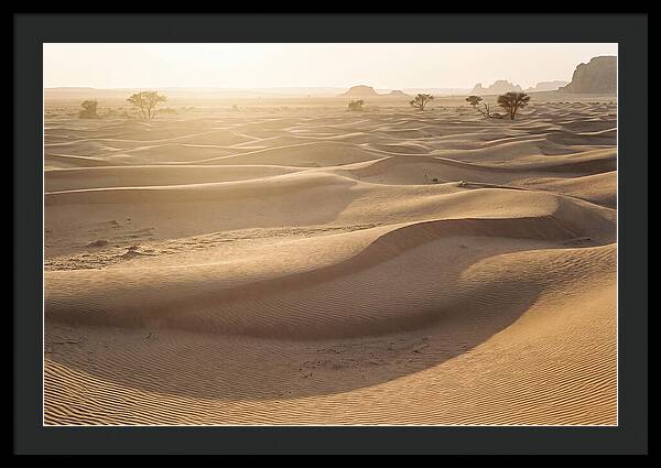 Endless Dunes Of White Sands