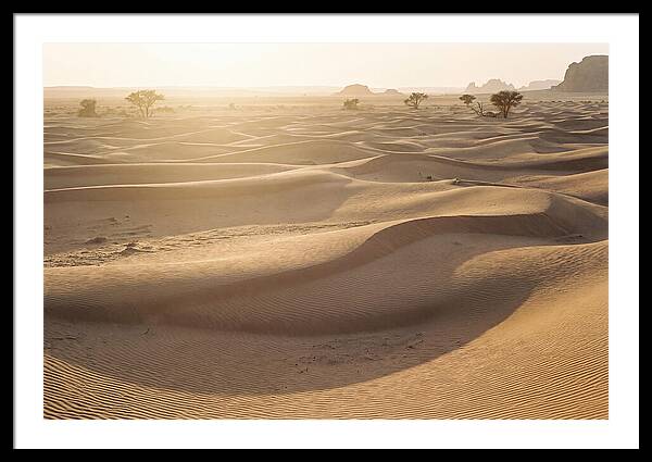 Endless Dunes Of White Sands