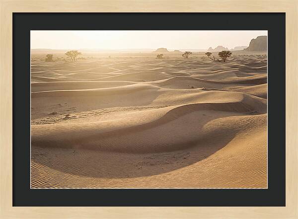 Endless Dunes Of White Sands