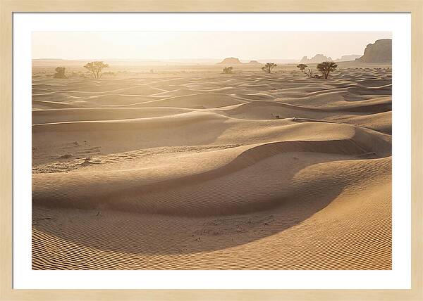 Endless Dunes Of White Sands