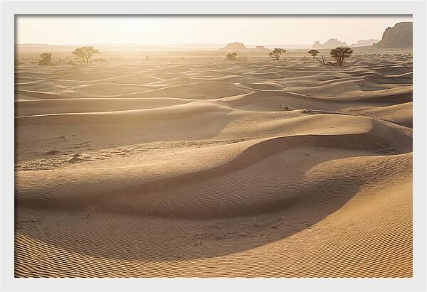 Endless Dunes Of White Sands