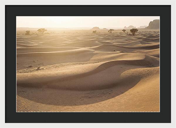 Endless Dunes Of White Sands