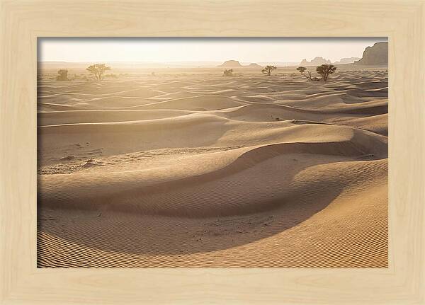 Endless Dunes Of White Sands