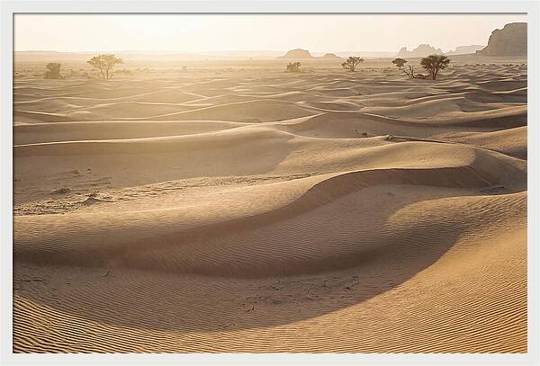 Endless Dunes Of White Sands