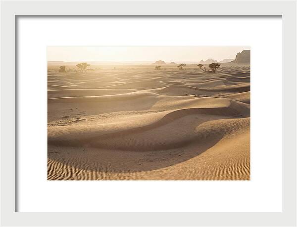 Endless Dunes Of White Sands